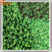 Grass Plant Type and Plastic Material artificial plant wall Green Wall Decor