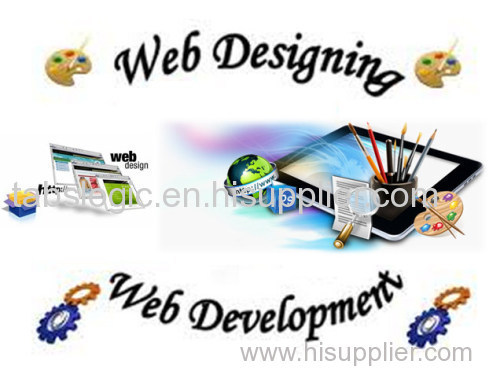 Web Design & Development