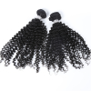 Kinky Curly Virgin Hair Extensions Unprocessed Virgin Hair Bundles