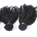 Safarihair Kinky Curly Virgin Hair Extensions Unprocessed Virgin Hair Bundles