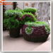 Large garden artificial big green topiary water kettle different artificial topiary