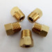 Cleanwater Products Brass Reducing Socket