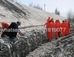 green gabion mesh 2016