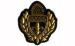 Machine Made Military Beret Badges Adhesive Embroidered Iron On Patches