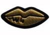 Custom Size Embroidered Iron On Patches Lip Shape Bullion Wire Blazer Badges