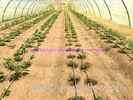 1g/m Stable Agricultural Tomato Tying Twine High Tenacity Different Colored