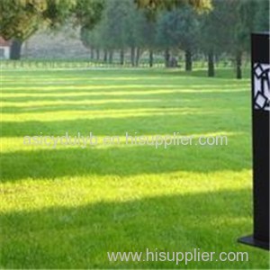 LED Lawn Lamps Product Product Product