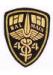 Laser Cut Boder Military Bullion Badges Washable Embroidered Uniform Patches