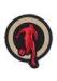 Sports Embroidered Sew On Badges Red / Yellow School Blazer Badges
