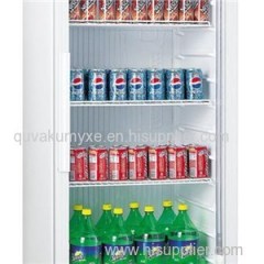 1 Door Direct Cooling Large Storage Plastic Liner Upright Showcase