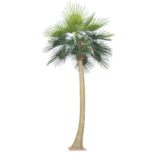 Nearly natural artificial coconut tree for outdoor or indoor