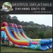 Giant commerical inflatable dual lanes slide