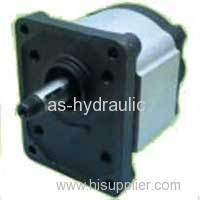Caproni Hydraulic Gear Pump