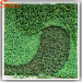 Artificial grass wall plnats decor plant wall hot sale new style