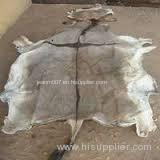 DRY SALTED DONKEY HIDES