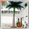 Guangzhou factory direct large palm tree ornamental date palm trees for hotel house
