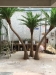 Factory wholesales large artificial fake indoor decoration palm tree/.