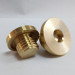 Custom-tailored brass ended blind plugs