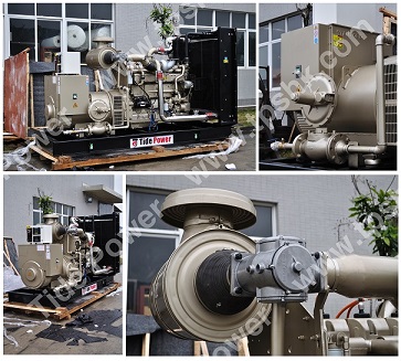 Cummins Gas Generator Set