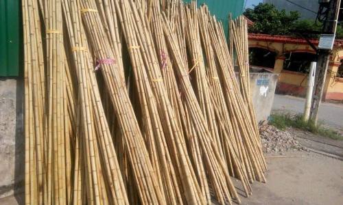 BAMBOO POLES FROM VIETNAM WITH CHEAPEST PRICE Ms Hannah 0084974258938