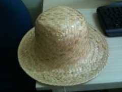 Straw Hats - Natural straw such as seagrass traw and palm leaf straw Ms Hannah0084974258938