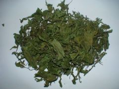 DRIED STEVIA LEAVES POWDER WITH BEST PRICE -Ms.Hannah-0084974258938
