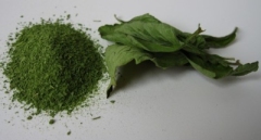 DRIED STEVIA LEAVES POWDER WITH BEST PRICE -Ms.Hannah-0084974258938