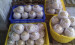 FRESH OLD COCONUT WITH BEST PRICE -Ms.Hannah-0084974258938