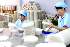 RICE PAPER FRESHROLL AND SPRINGROLL WITH GOOD QUALITY -Ms.Hannah-0084974258938