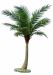 factory direct large palm tree ornamental date palm trees for hotel house