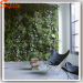 Artificial Plants outdoor Plant Decorative Wall Hangings Rural Creative wall for home Decoration