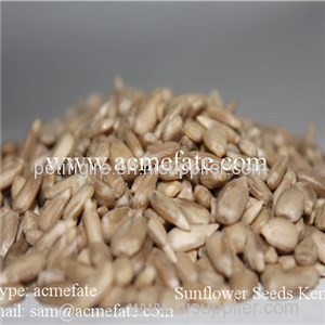 Sunflower Seeds Kernels Product Product Product