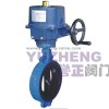 Butterfly Valve With Electric Actuator