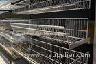 Capability 30KG - 50KG Supermarket Accessories Wire Basket Shelf ISO9001 Certification