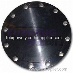 Carbon Steel Blind Flange