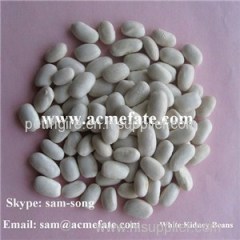 White Kidney Beans Product Product Product