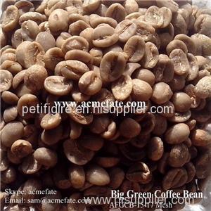 Green Coffee Beans Product Product Product