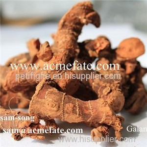 Galangal Root Product Product Product