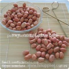 Peanut Kernels Product Product Product