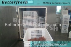 Dongguan Betterfresh rapid cooling cooked food pre coolers vacuum cooling machine refrigeration increase shelf life
