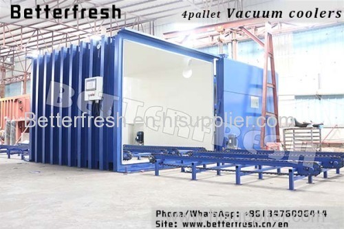 Dongguan Betterfresh high temperature Rapid cooling increase shelf life Precoolers Vacuum cooling machine for food veget