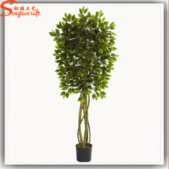 Factory direct mini outdoor bonsai trees for sale ficus bonsai potted plant