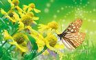 Cute Butterfly OEM Full 3D Lenticular Printing For Kids Room