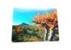 Eco - Friendly Custom Lenticular Printing 3D PP / PVC Table Mat