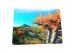 Eco - Friendly Custom Lenticular Printing 3D PP / PVC Table Mat