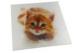 Cat Design Disney Audit 3D Lenticular Stickers CMYK Printing