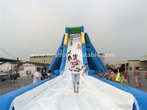 Giant Single Lane Inflatable Hippo Jumbo Water Slide