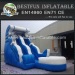 Dolphin Jumbo Water Slide Inflatable