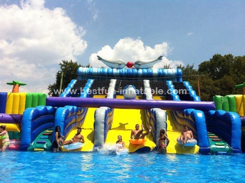 Large Amusement Park Inflatable Water Slide