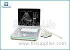 Portable Animal Laptop Ultrasound Scanner With 15 Inch LCD Screen